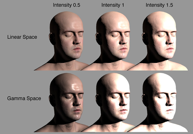 Infinite 3D Head Scan by Lee Perry-Smith, licensed under a Creative Commons Attribution 3.0 Unported License (available from www.ir-ltd.net)