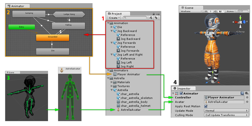 How the various parts of the animation system connect together