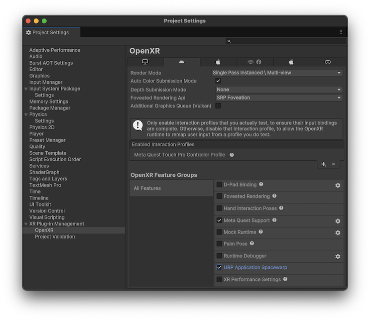 OpenXR settings page showing the spacewarp feature option added by a custom feature declaration.