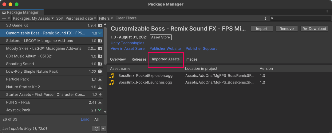 The Imported Assets tab in the Details view