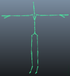 二足歩行スケルトン、T ポーズの姿勢