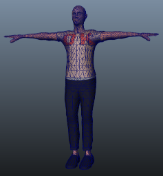 Skin Mesh, textured and triangulated